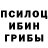 Галлюциногенные грибы мицелий Solidt3n Garage