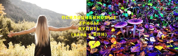 spice Карпинск